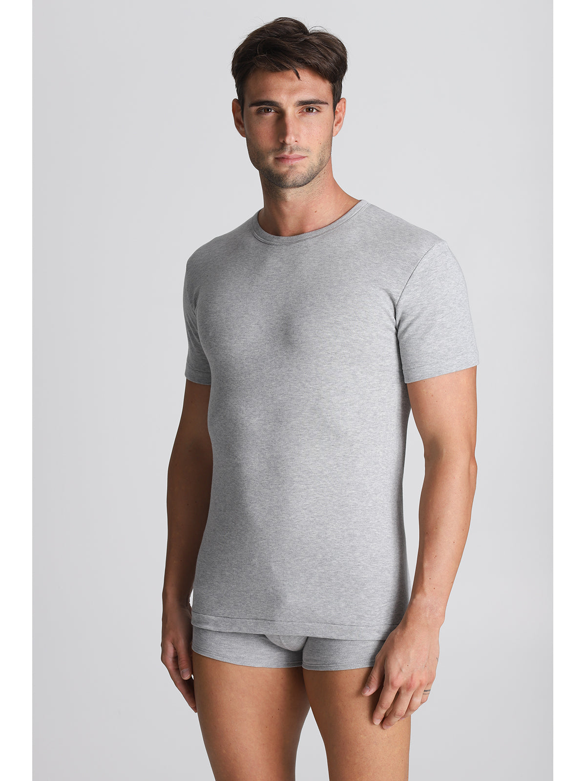 Maglia maniche corte cotone grigia Alpina Intimo
