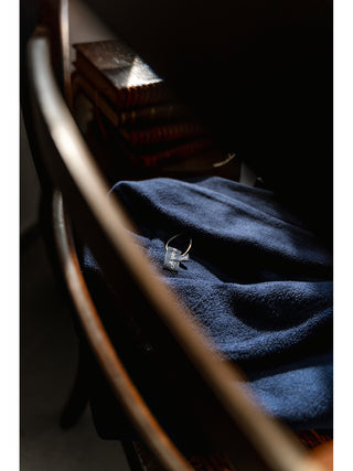 Giacca da camera abbottonata Blu Alpina