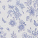 BLEUETTE (AFC264_106)
