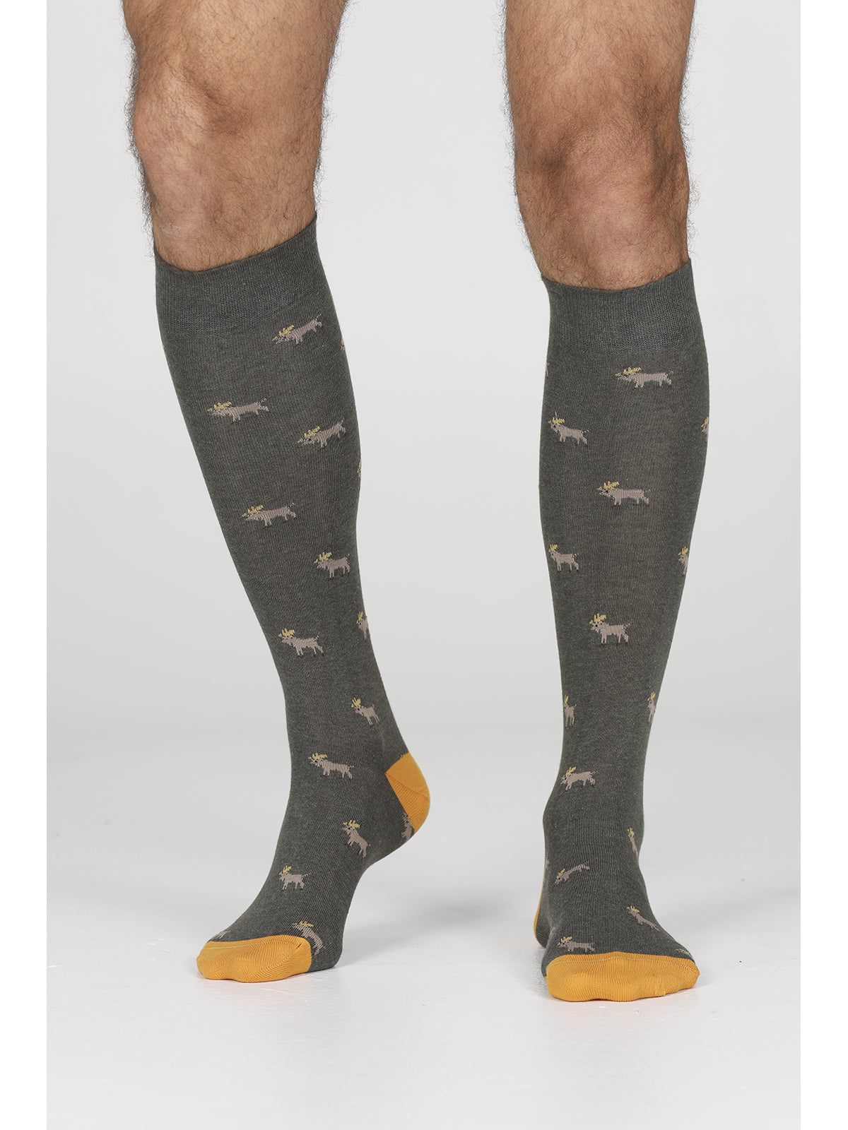 Calza lunga in caldo cotone